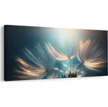 Dovido Obraz snové kapky pampelišky