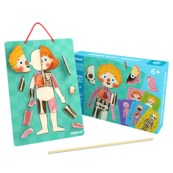 Magnetická kreslící tabulka Magnetická tabulka Moje tělo