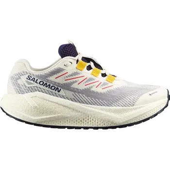 Dámská obuv Dámská běžecká obuv Salomon Aero Blaze 3 GRVL GTX W Vanila/Astr UK 6,5