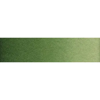 Olejová barva Akvarelová barva Old Holland 6ml – 304 Hooker's Green Lake Light Extra (Akvarelová barva Old Holland 6ml – 304 Hooker's Green Lake Light Extra)