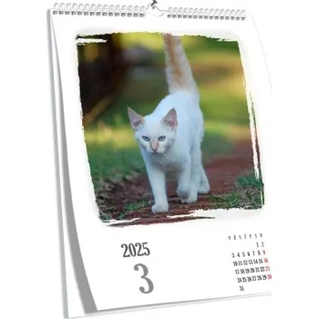 Fotokalendář Nástěnný kalendář s vlastní fotografií NKN-102-A4 nástěnný foto-kalendář 2026 NKN-102-A4 Nižší cena pro více kusů!