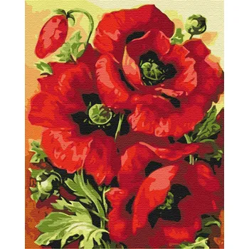 Obraz Obraz k vymalování podle čísel Artnapi květiny 40 x 50 cm