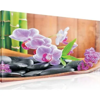 Obraz Postershop Obraz na plátne: Orchidej (1) - 75x100 cm