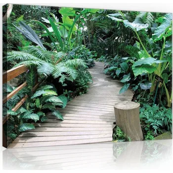 Obraz Postershop Obraz na plátne: Stezka mezi kapradím - 75x100 cm