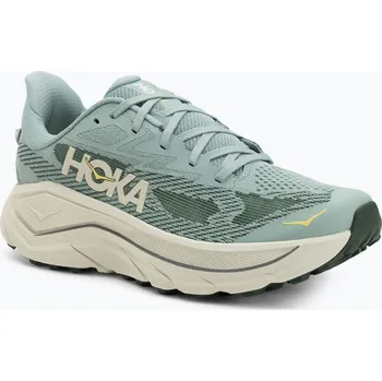 Pánská obuv Pánské běžecké boty HOKA Challenger 8 jade/truffle salt