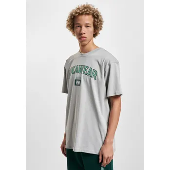 Pánské tričko Pánské tričko Est.1999 šedé Rocawear šedá 2848328