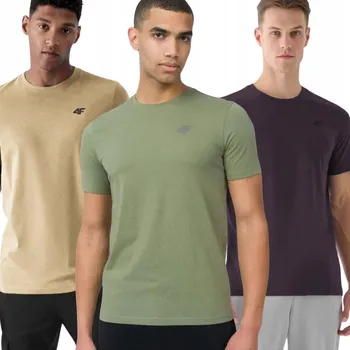 Pánské tričko Pánské tričko s kulatý výstřihem 4F, velikost 5XL