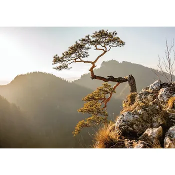 Fototapeta Postershop Fototapeta: Vrcholek - 104x152,5 cm