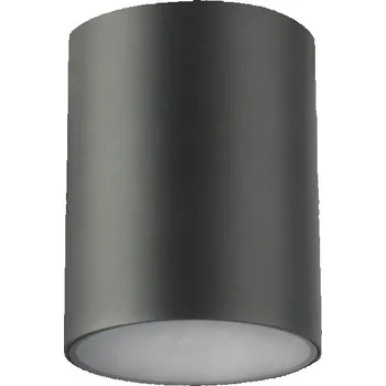 GTV Lento stropní světlo 1x35 W grafitová OS-LEN100OKG-30