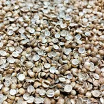 Microgreens Koriandr setý