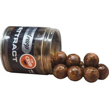 Návnadová surovina SQUAT CARP - Boilies v dipu Hi-Attract The Crab 220 g 24 mm