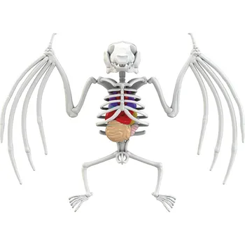 Hračka Simba Objevuj Pitva Netopýra