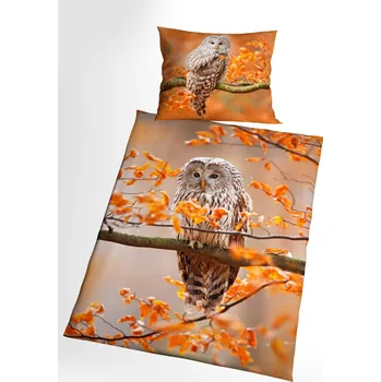 Povlečení 3d povlečení se sovou - Noctua 140x200 cm
