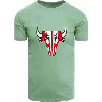 Pánské tričko Světle zelené pánské bavlněné tričko Dstreet DStreet kaki 1964969