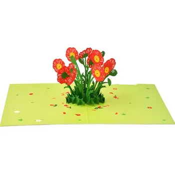 Výtvarná sada 3D přání Vlčí máky