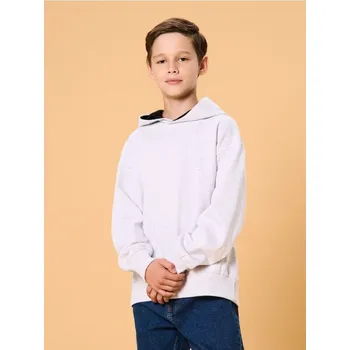 Chlapecká mikina Sinsay - Mikina s kapucí - šedá - 015GA-09M - 015GA-09M-170