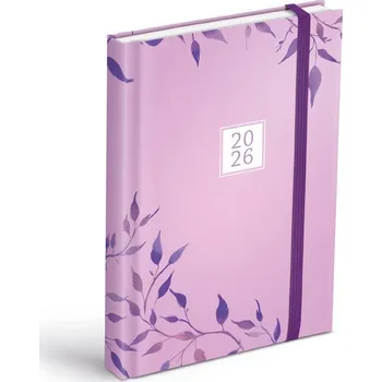 Kalendář Diář 2026 D801 Lamino 3 s magnetem