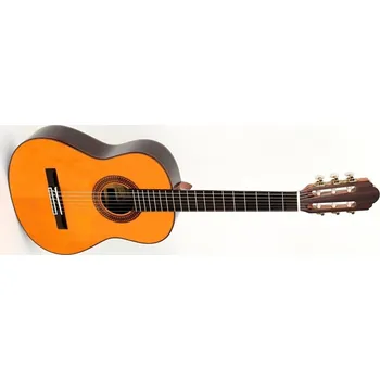 Klasická kytara Pablo Vitaso VCG-50S Junior 3/4