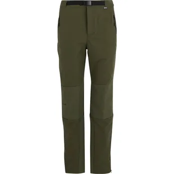 Pánské kalhoty Pánské kalhoty Regatta Montorn Velikost: L / Barva: zelená