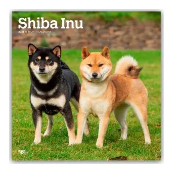 Diář Shiba Inu - Shiba 2026 - 16-Monatskalender (EN)
