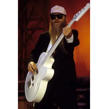 Plakát Plakát, Obraz - Photo of Dusty HILL and ZZ TOP