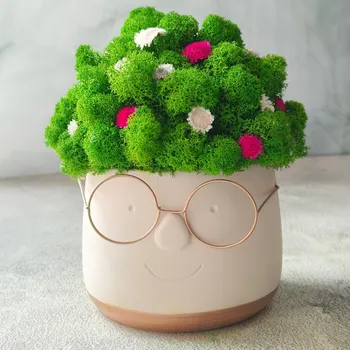 Květináč Květináč s brýlemi, mechové vlasy