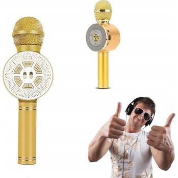 Mikrofon BEZDRÁTOVÝ MIKROFON S HIFI REPRODUKTOREM WS-669