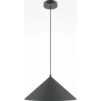 MAYTONI Závěsné svítidlo Basic E27 40W černý kov - MAYTONI M MOD167PL-01B