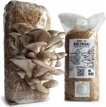 Substrát Hlíva ústřičná - připravený substrát pro pěstování od Smaki Na Boczniaki