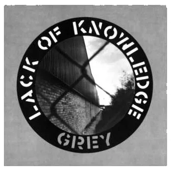 Zahraniční hudba LP Lack Of Knowledge: Grey 2023 Reissue Vinyl