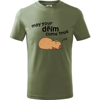 Chlapecké oblečení May your dřím come true - Tričko dětské bavlněné - 134 cm/8 let ( Khaki )