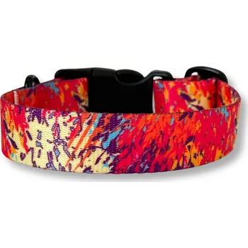 Obojek pro psa PafDog® Designový obojek pro psy Festival Velikost: S, ŠÍŘKA: 25 MM