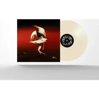 Zahraniční hudba Maruja - Pain To Power (LP, 19802931611)