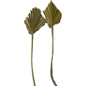 Palm spear mini col. Frosted žlutá