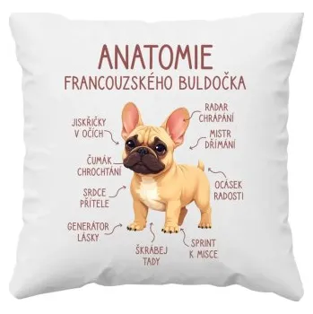 Žertovný předmět Anatomie francouzského buldočka - béžový - polštář s potiskem- Tričkový.cz