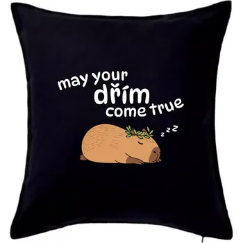 Polštář May your dřím come true - Polštář 50x50 - 50x50 - Pouze potah ( Černá )