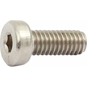 Elektrokolo šroub Sport Drive M4x10 mm imbus (šroub krytu řídící jednotky Sport Drive)