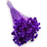 mech-mech.cz Sušené Botao - (Amarelinho) - královská fialová