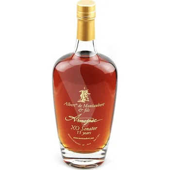 Brandy Albert de Montaubert Armagnac XO Senator 15 years 40% 0,7 l (dárkové balení)