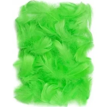 Set školních potřeb Piórka zielone 5-12cm 10g