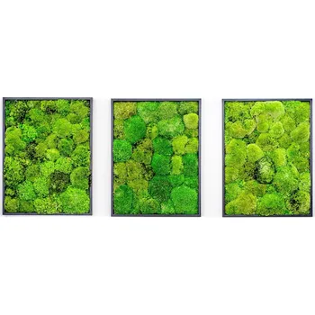 Obraz Gardners Set 3 mechových obrazů 30x40 z kopečkového mechu, černá