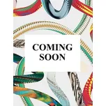 Goya. The Complete Prints - Reuter, Anna