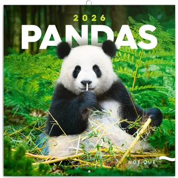 Kalendář Notique Nástěnný kalendář pandy 2026