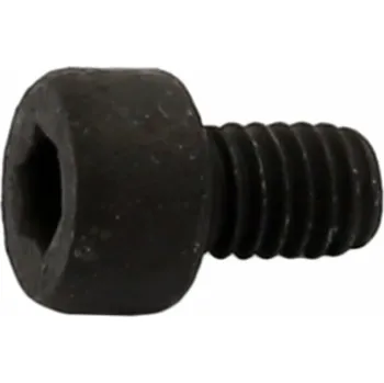 Elektrokolo šroub Sport Drive M4x6 mm imbus (šroub krytu řídící jednotky Sport Drive)