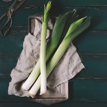 Semeno BIO Pór Hannibal - Allium porum - bio osivo póru - 30 ks