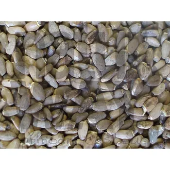 Čaj Bylinná lékárna Ostropestřec mariánský plod celý (Cardui mar.sil.fructus) Varianta: Ostropestřec plod 1000g