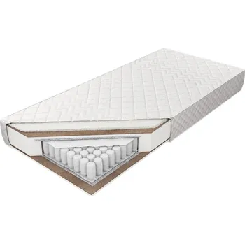 Matrace Matrace Palmea 100 - M&K Foam Aloe Vera 100x18 cm