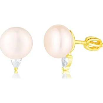 Náušnice Náušnice JVD SVLE3142XH2GPSR stříbrné