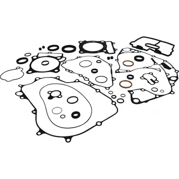 Těsnění motoru Sada těsnění motoru kompletní vč. gufer motoru WINDEROSA CGKOS 8110030