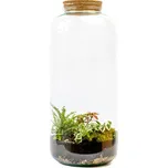 Gardners Skleněná dóza Lonicera s korkovým špuntem, 51x23 cm - osázené vlhkomilně